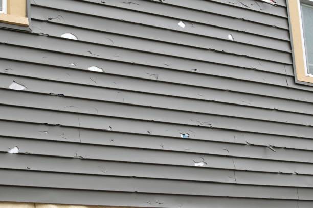 Best Garage Cleanout  in Velva, ND